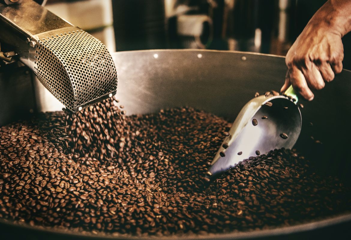 Geröstete Kaffeebohnen werden aus einer Maschine entleert und mit einer Metallschaufel in einem großen Röstbehälter bewegt.